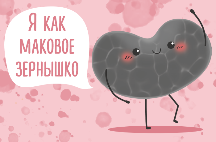 700x462 маковое зернышко.png