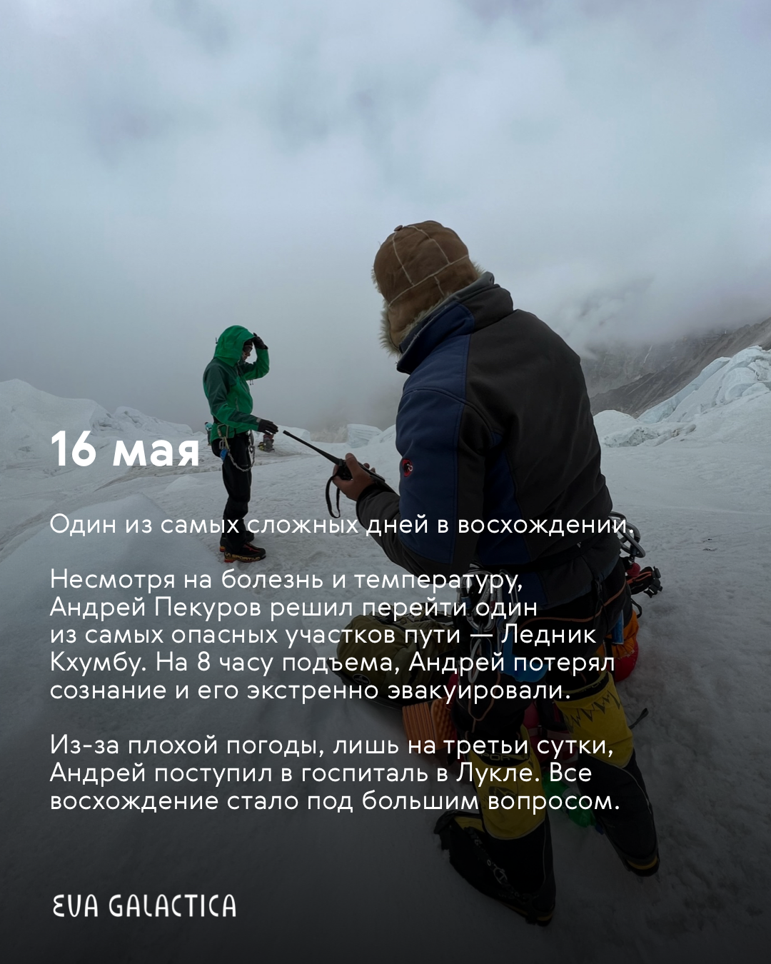 IMG_4815.PNG