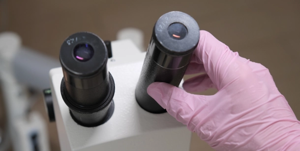 Анализы и исследования