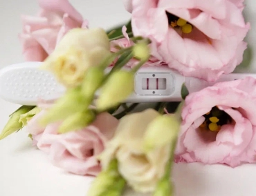 Фотогалерея