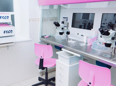 Фотогалерея